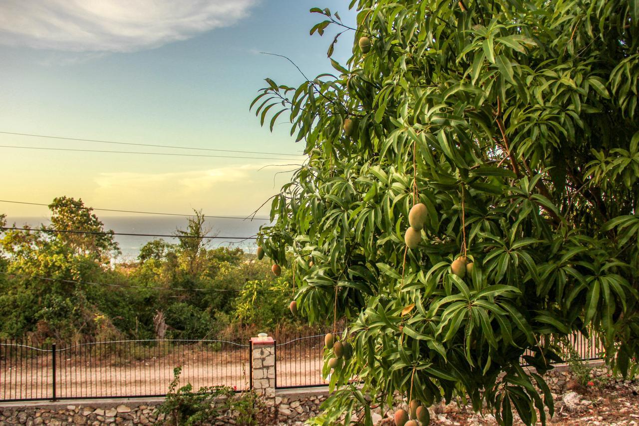 מונטגו ביי Sunshine Lodge: Your Home Away From Home מראה חיצוני תמונה
