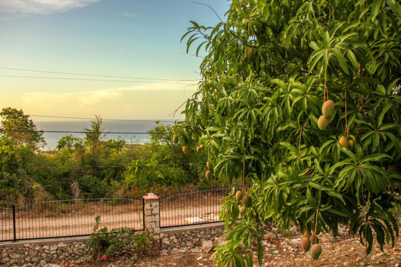 מונטגו ביי Sunshine Lodge: Your Home Away From Home מראה חיצוני תמונה