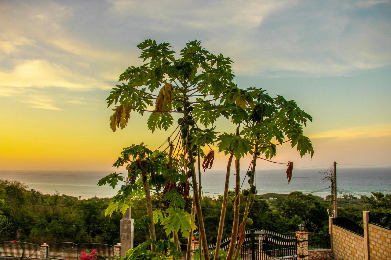 מונטגו ביי Sunshine Lodge: Your Home Away From Home מראה חיצוני תמונה